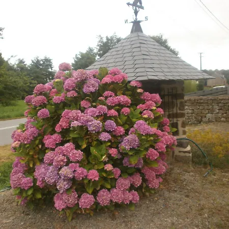 Bed & Breakfast D'hotes La Haie *